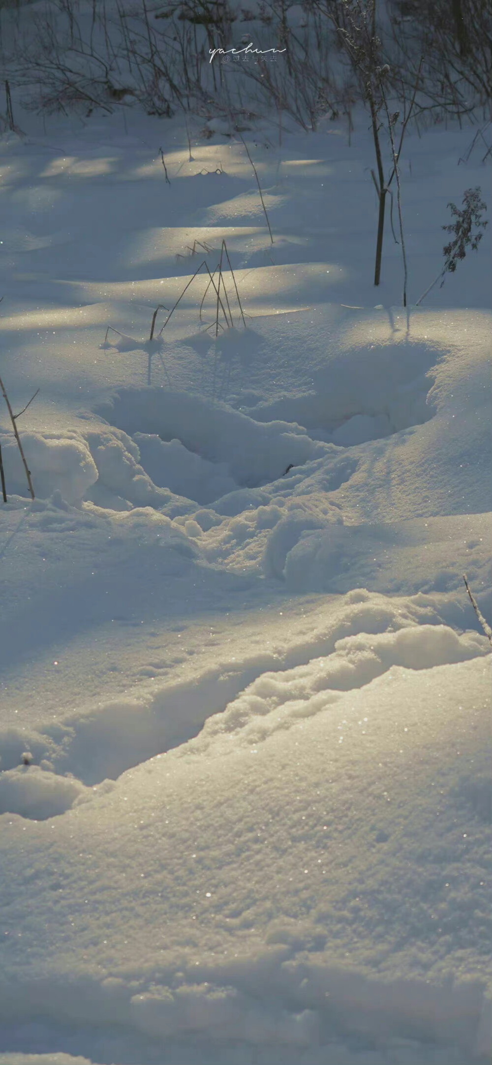 雪