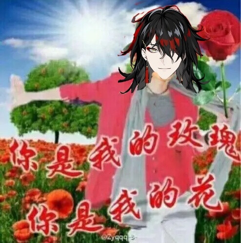 vox的土味表情包