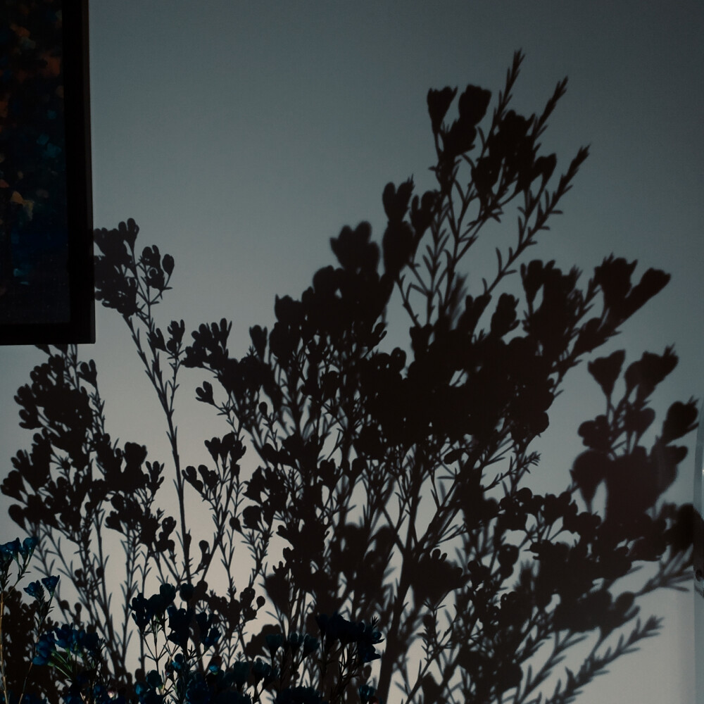 又一次战败后归来
但我不会放弃