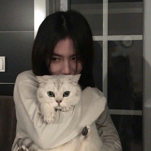 抱猫女头