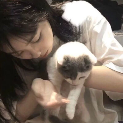 抱猫女头