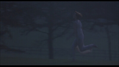 《查泰莱夫人的情人》