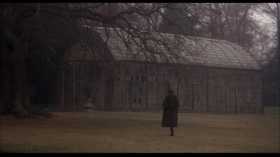 《查泰莱夫人的情人》