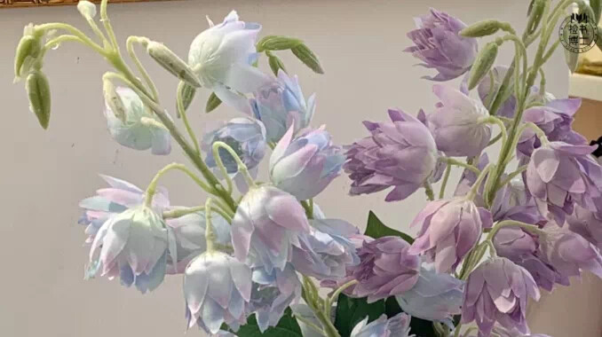 生活 就是要自己过起来很舒服
而不是让别人看你过得很舒服