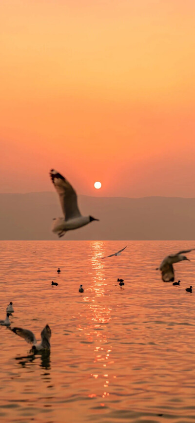 海边夕阳壁纸