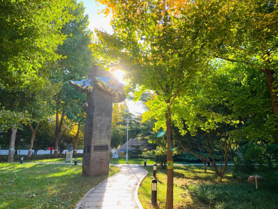 丁程鑫大学生活