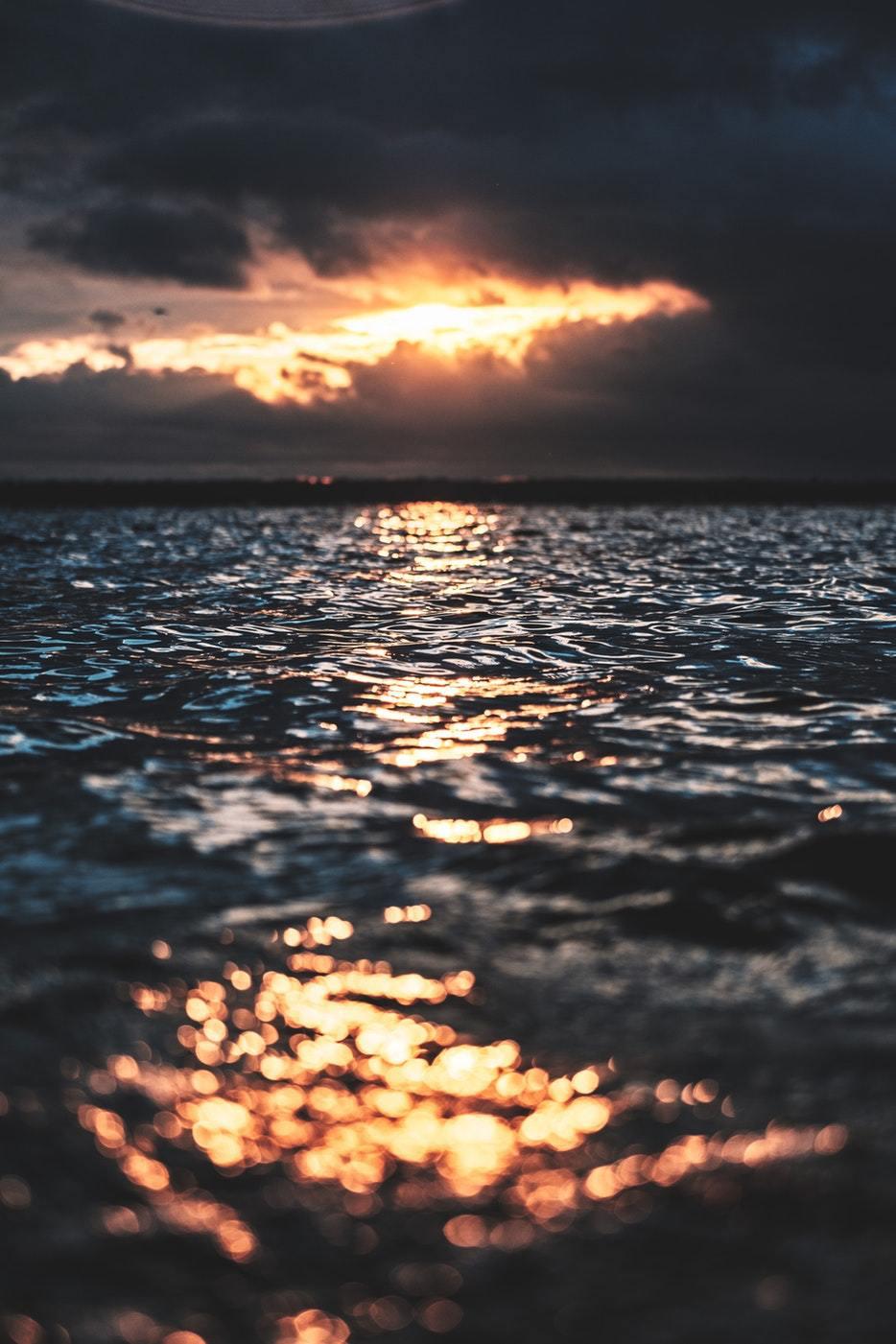 海