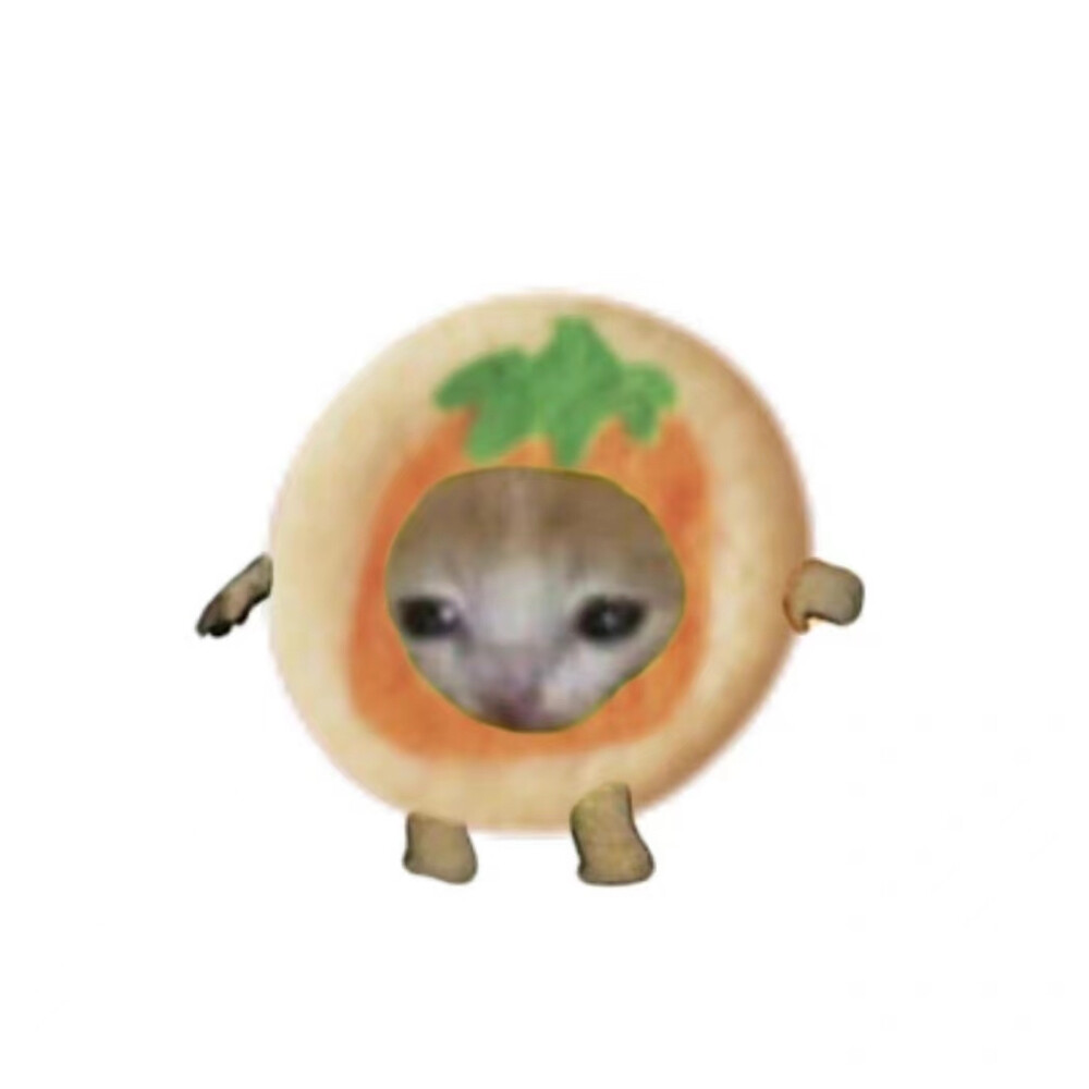 食物猫猫头