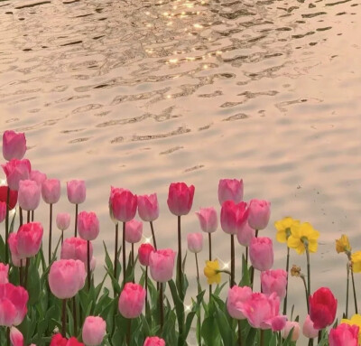 夏天朋友圈背景壁纸