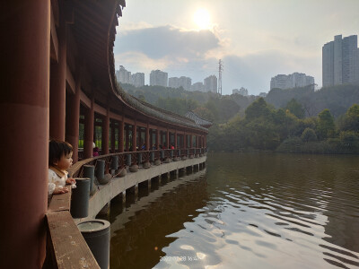 龙头寺公园