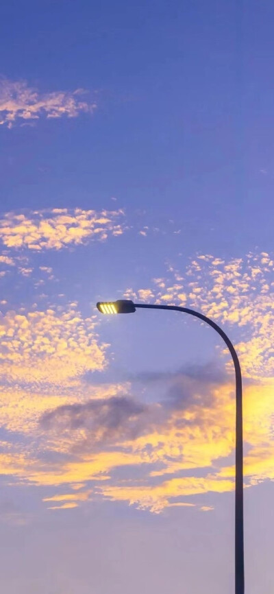 一尘不染不是不再有尘埃，而是尘埃让它飞扬，我自做我的阳光。