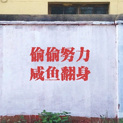 上岸