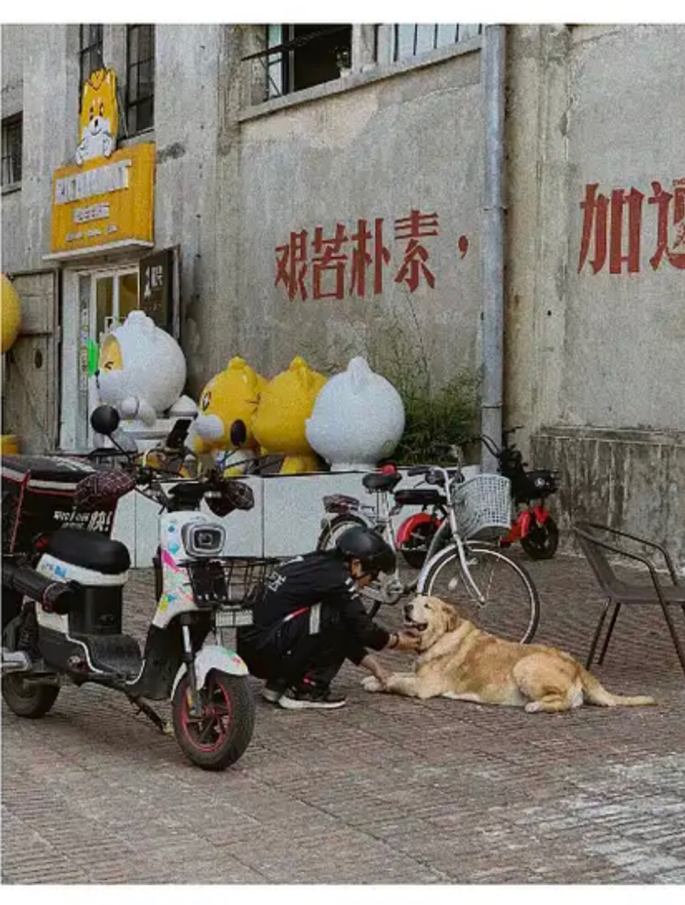 杂七杂八