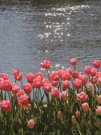 浪 漫
#朋友圈背景图# ​​​