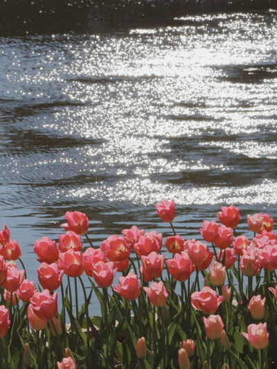 浪 漫
#朋友圈背景图# ​​​