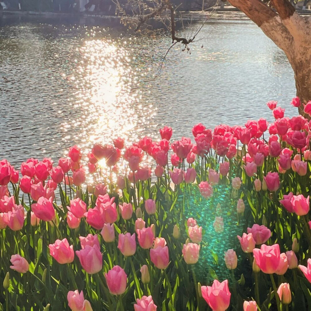 浪 漫
#朋友圈背景图# ​​​