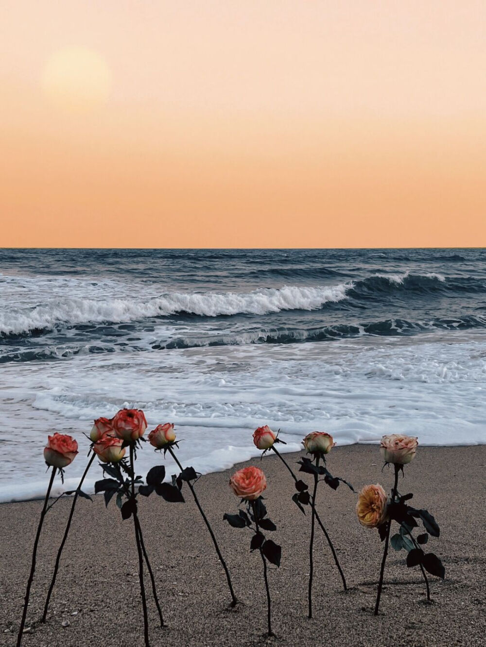 浪 漫
#朋友圈背景图# ​​​