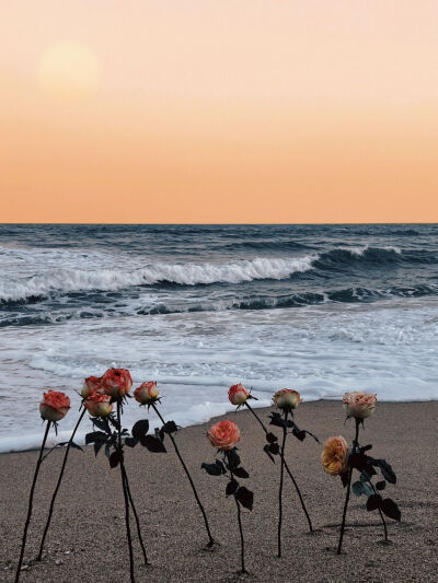 浪 漫
#朋友圈背景图# ​​​