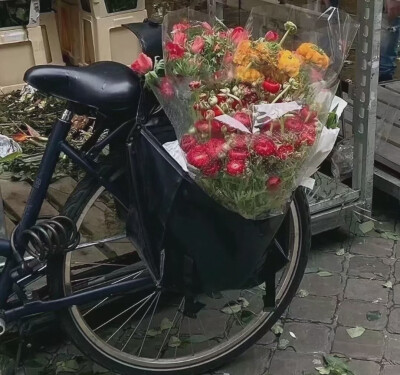 浪 漫
#朋友圈背景图# ​​​