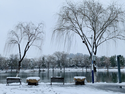 下雪