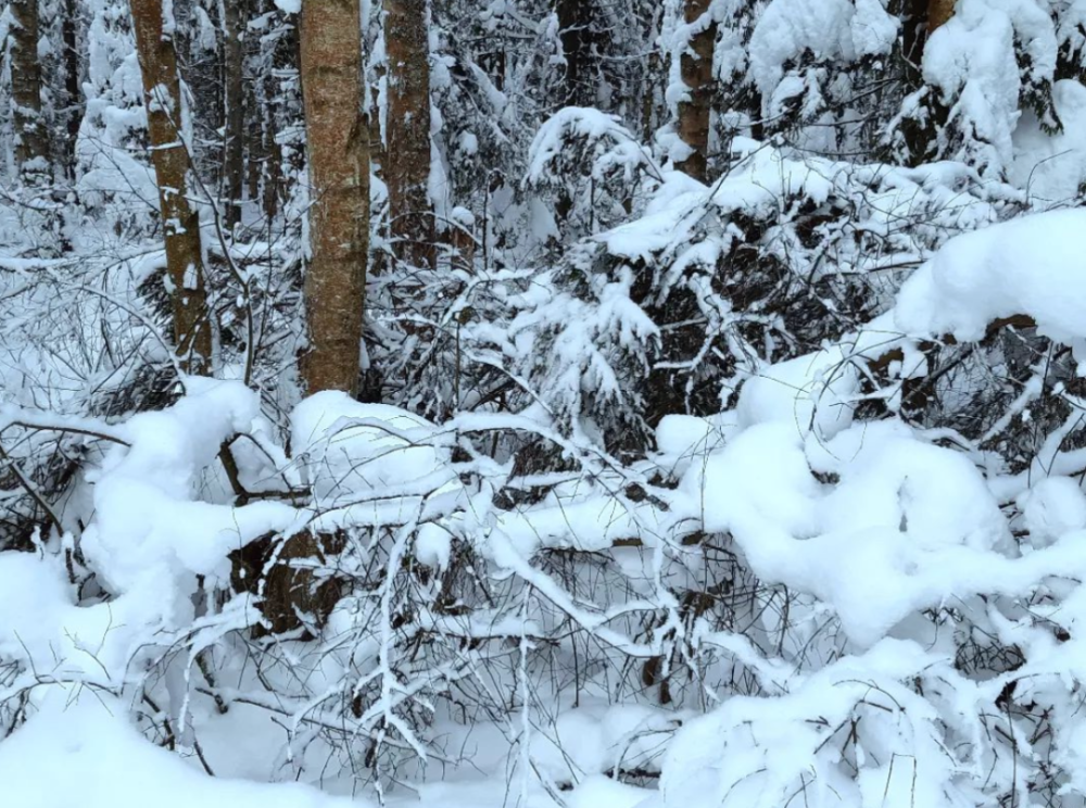 俄罗斯水彩画家令人入迷的水彩雪景:ILya Ibryaev