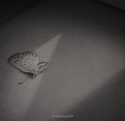 闵玧其
原截 赴暒