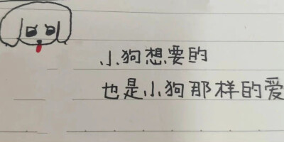 小狗日记