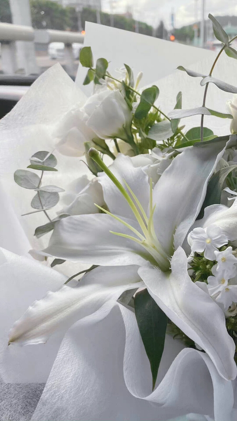 高级感壁纸 ｜ ins冷淡风 ｜ 素质拿图