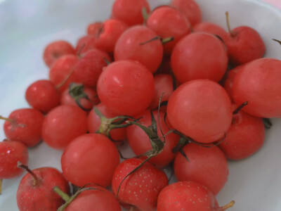 «喜欢就是意义本身»