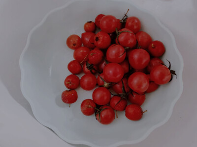 «喜欢就是意义本身»