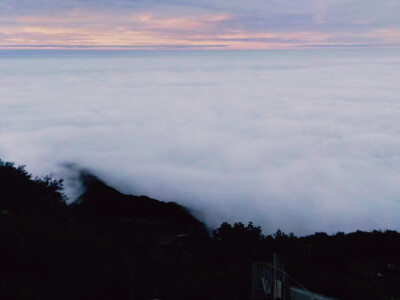 «云海»«佛光»