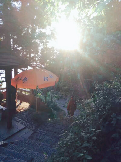 «云海»«佛光»