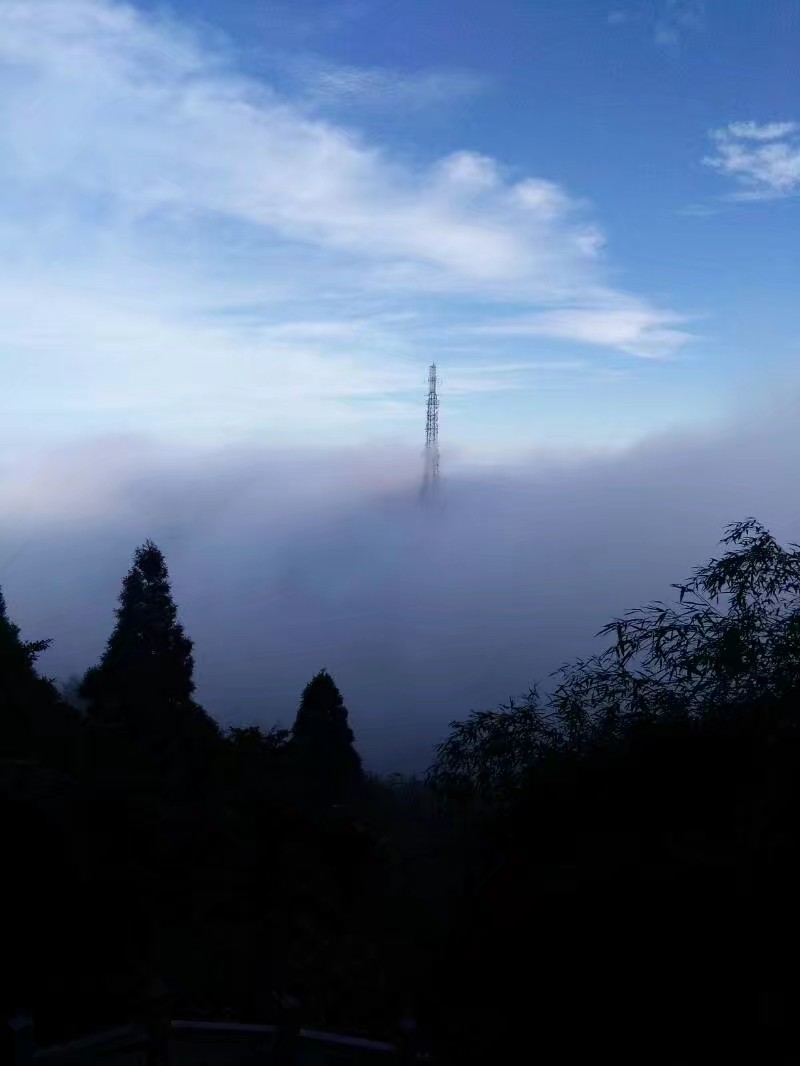 «云海»«佛光»