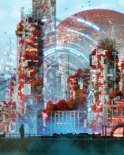 壁纸