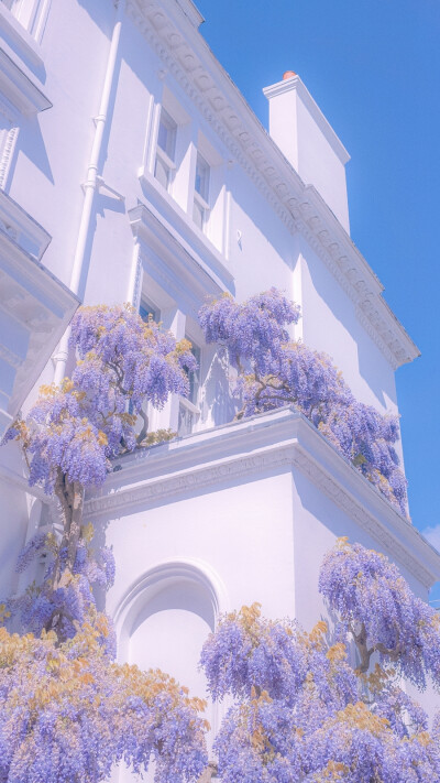 壁纸