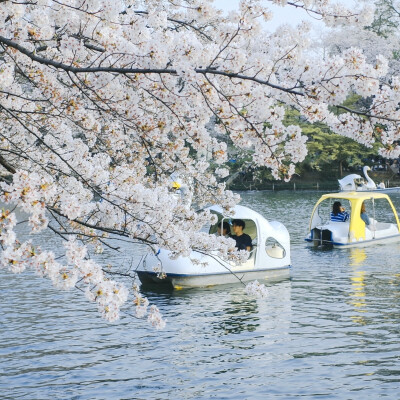 风景