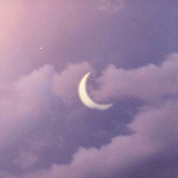 iPhone主题-星黛露