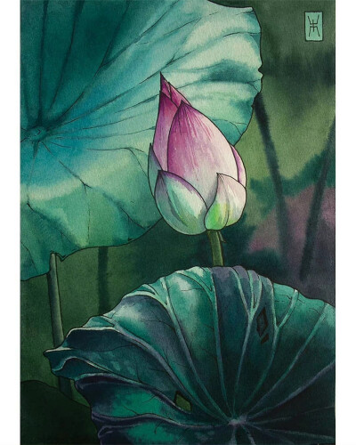 幽涟美，插画 ins：evgeniyabrukishart 