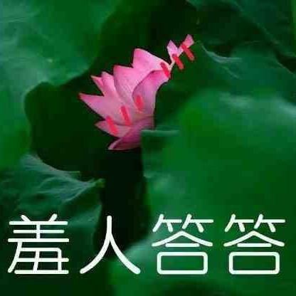 莲花头像