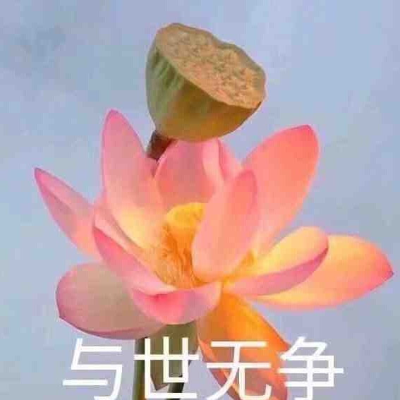 莲花头像