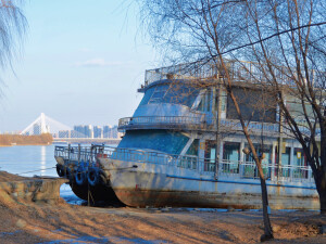 七九河开 八九燕来