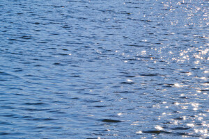 七九河开 八九燕来