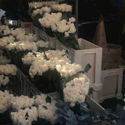 “喜欢花 喜欢海 喜欢日出和日落 浪漫的年纪别活的太无趣”