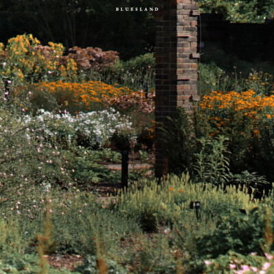 “喜欢花 喜欢海 喜欢日出和日落 浪漫的年纪别活的太无趣”