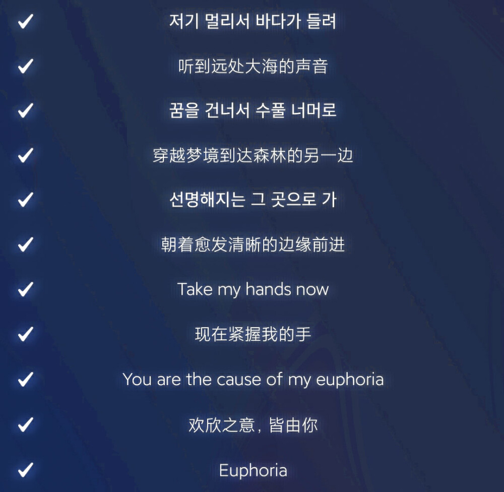 
Euphoria：欢欣之意 皆由你、Seagull