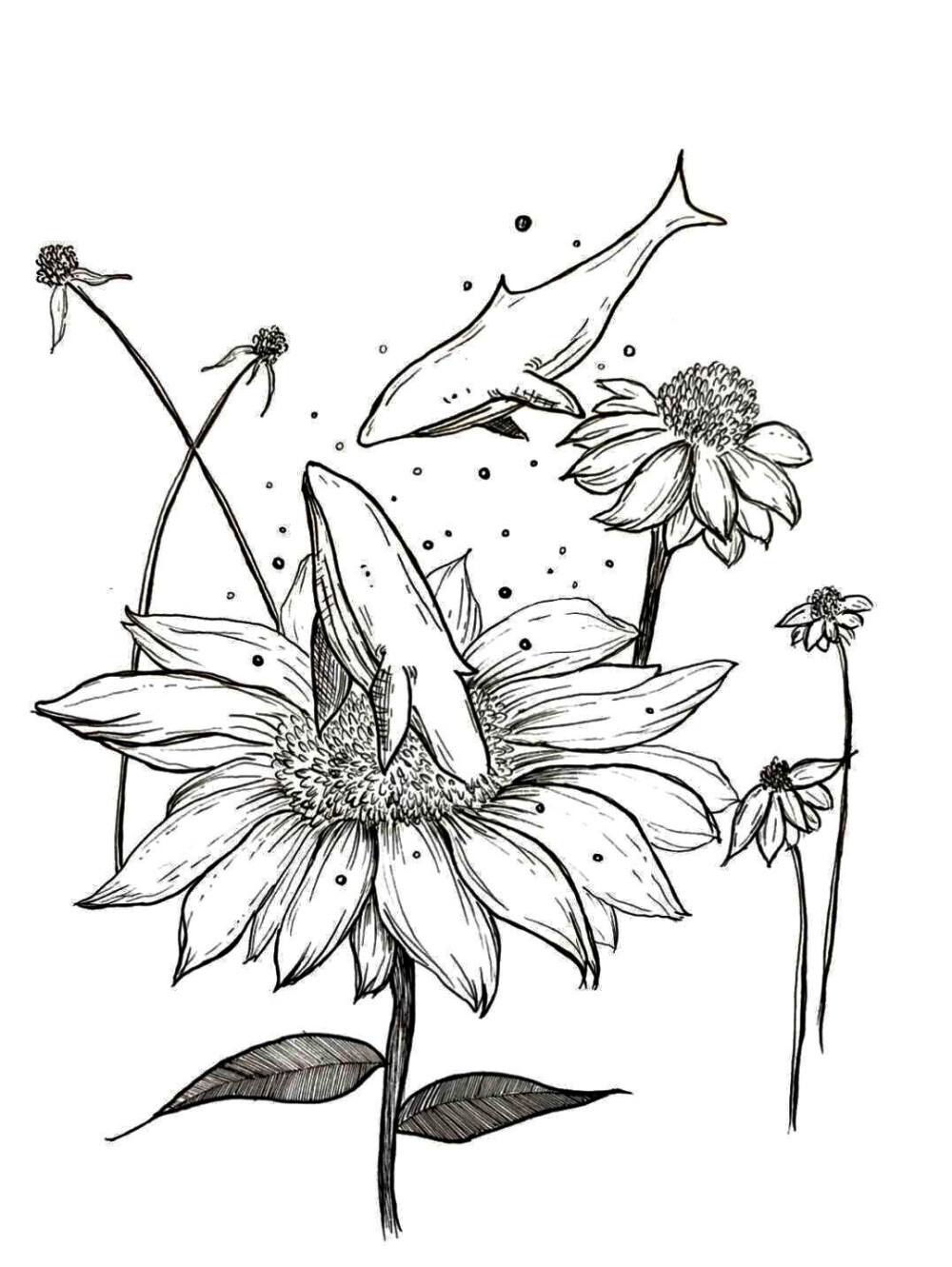 黑白画