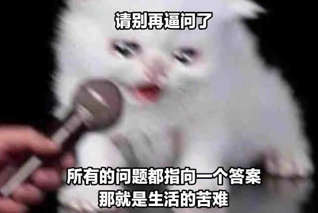 猹
表情包