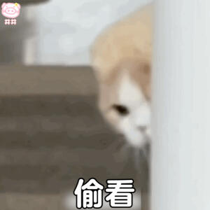 猫咪表情包动图
可爱的表情包