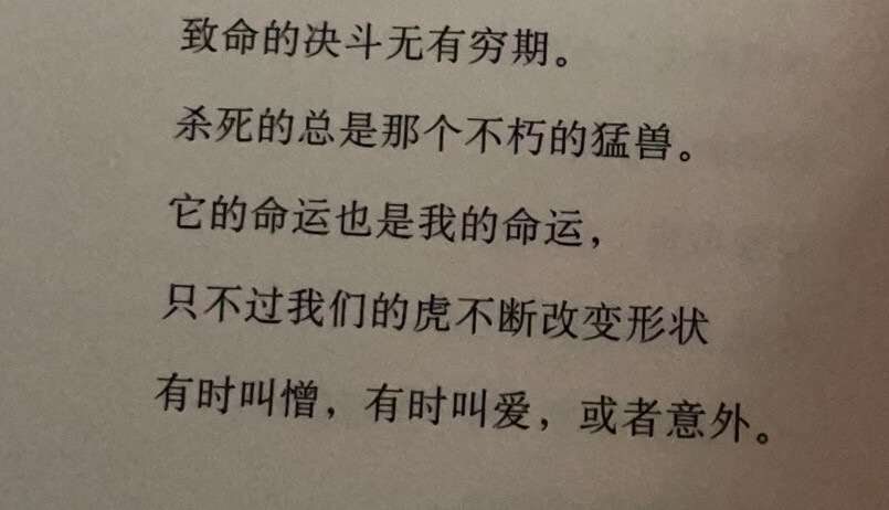 一些博尔赫斯