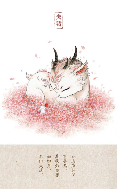浑圆山海-杉泽
